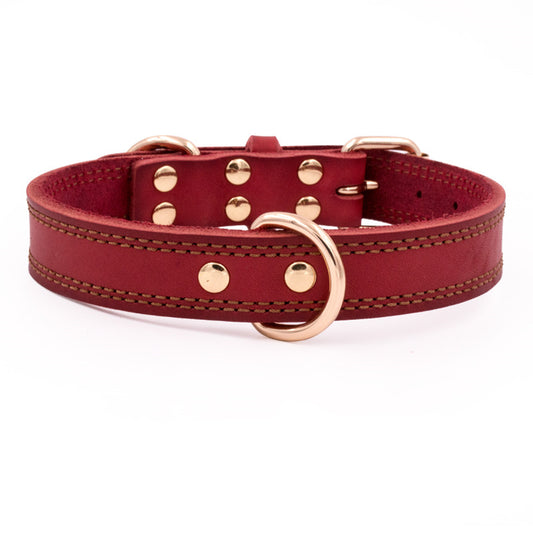 Cowhide Dog Collar Medium And Large  Golden Husky Leather