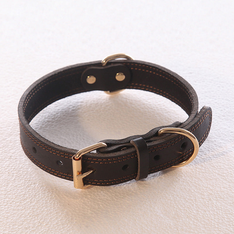 Cowhide Dog Collar Medium And Large  Golden Husky Leather